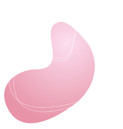 Top Internet, IPTV & Fiber Near Me in Kota, Ajmer, Udaipur