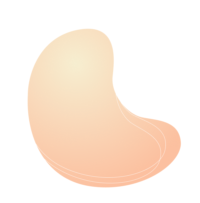 Top Internet, IPTV & Fiber Near Me in Kota, Ajmer, Udaipur